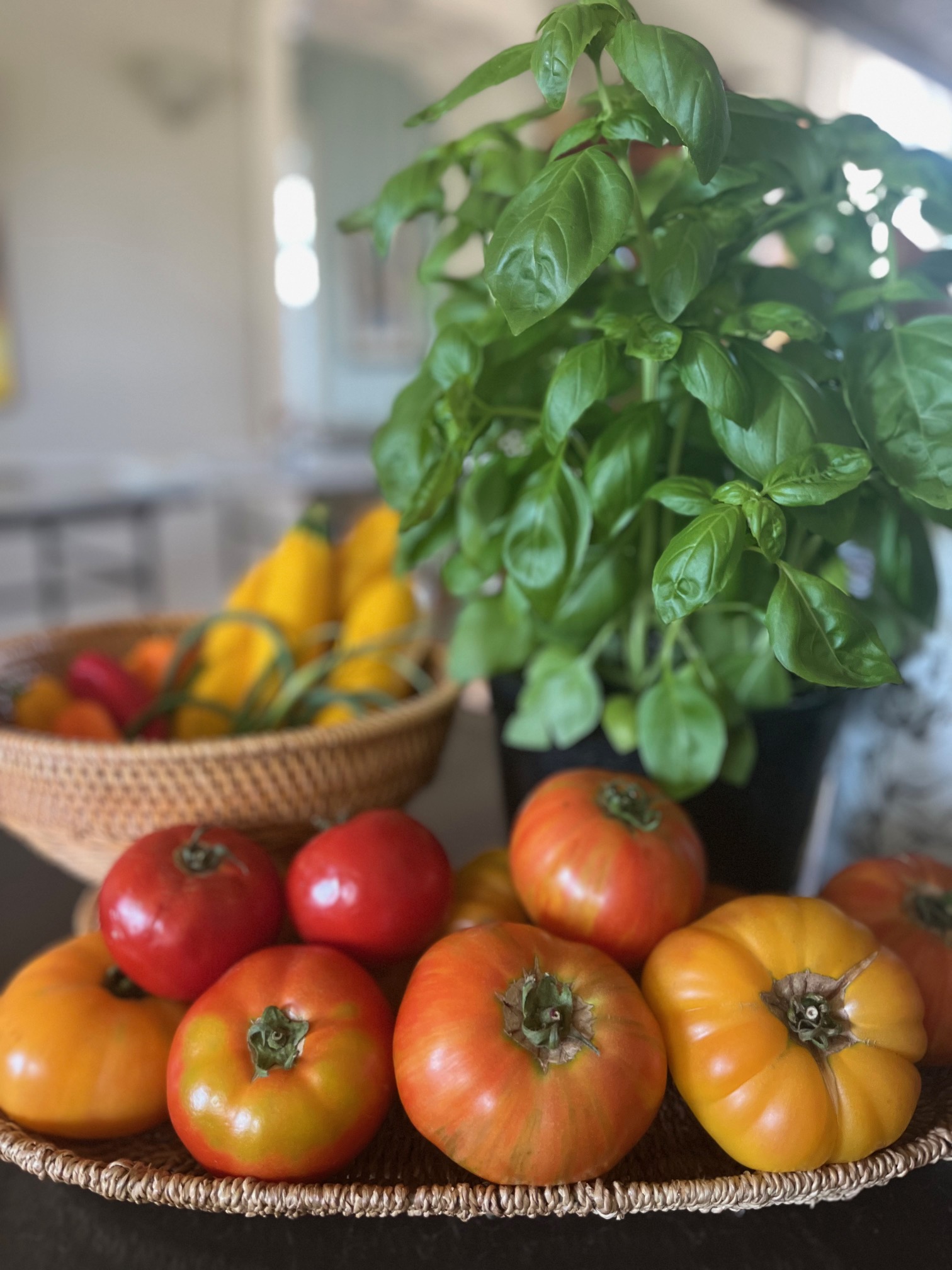 Mediterranean Table